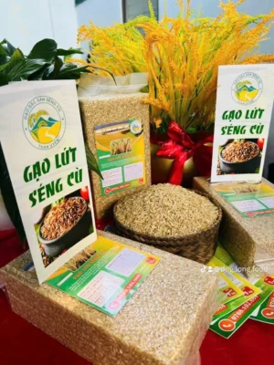Gạo Lứt Séng Cù