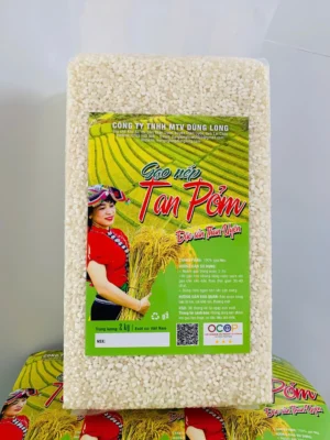 gao nep tan pon 1