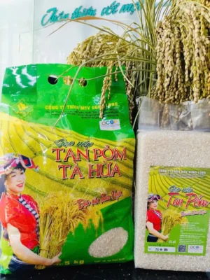 Gạo Nếp Tan Pỏm
