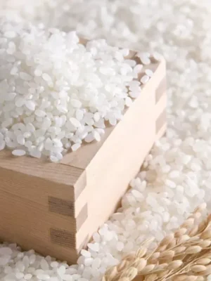 Gạo Séng Cù hạt tròn