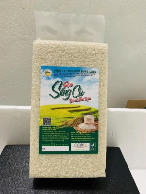 gao seng cu 2