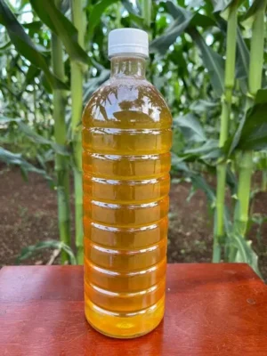Mật ong hoa xuyến chi